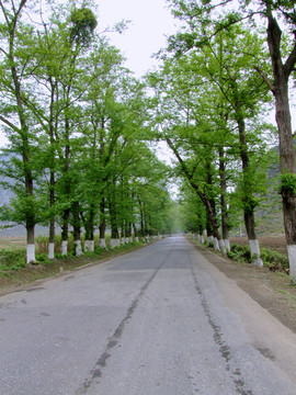 乡村道路