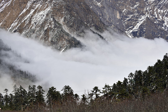 山中云雾