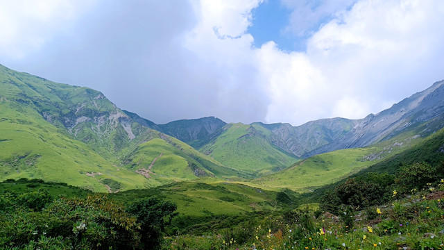 壮美河山之高山草甸