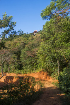 山林小土路