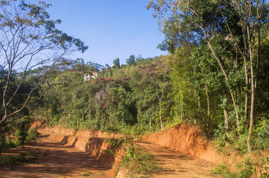 山岭山林小土路