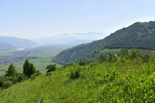 蓝天绿树新农村