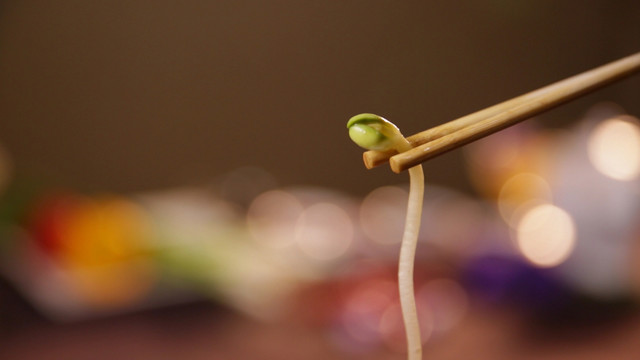 豆芽韭菜粉丝炒合菜食材