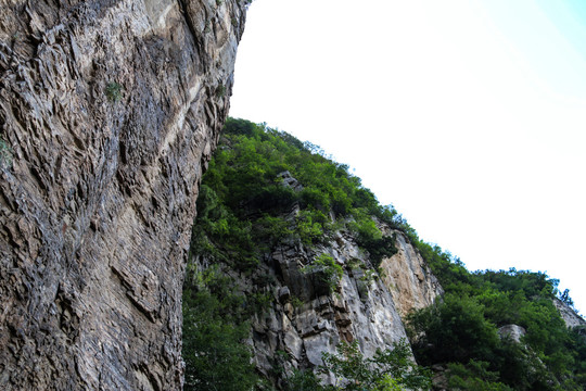 绿树青山