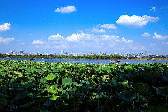 西湖风景