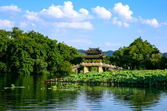 西湖风景