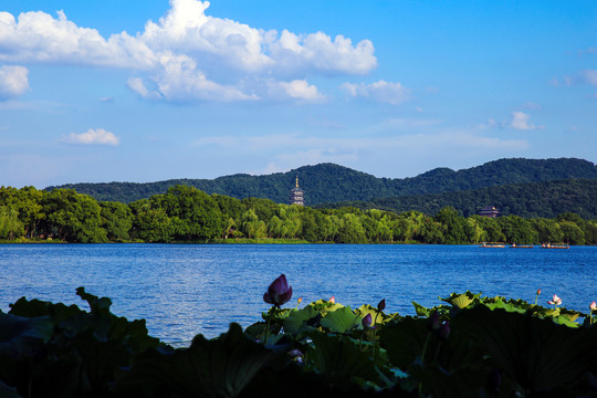 西湖风景