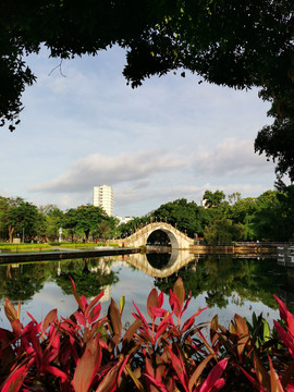 小桥湖景