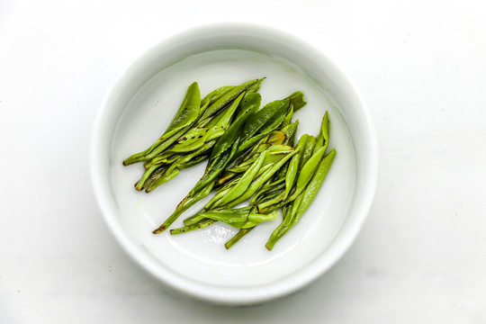 绿茶新茶茶底