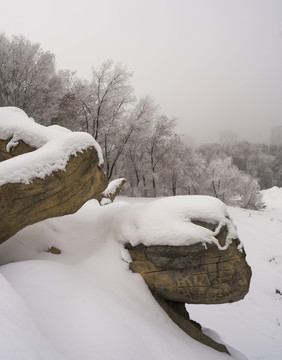 雪景