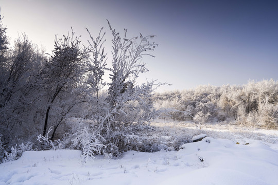 雪景