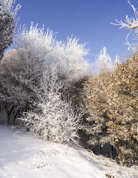 蓝天雪景