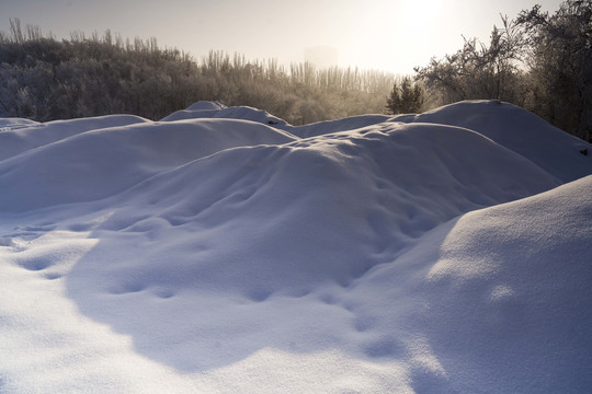 雪景