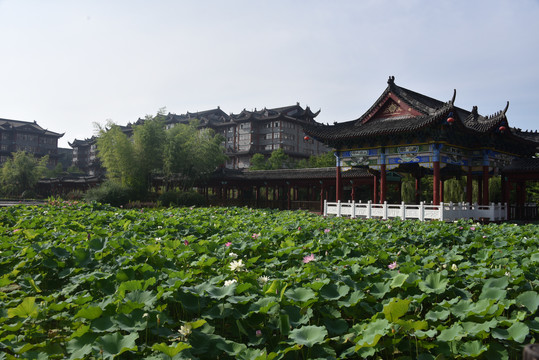 华龙城酒店建筑