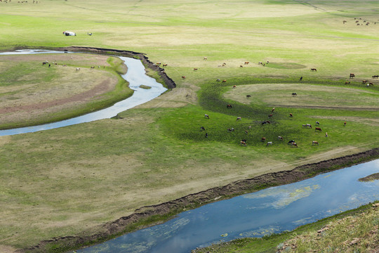 草原牧场河流马群牛群蒙古包