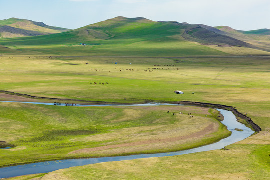 草原河流蒙古包马群牧场
