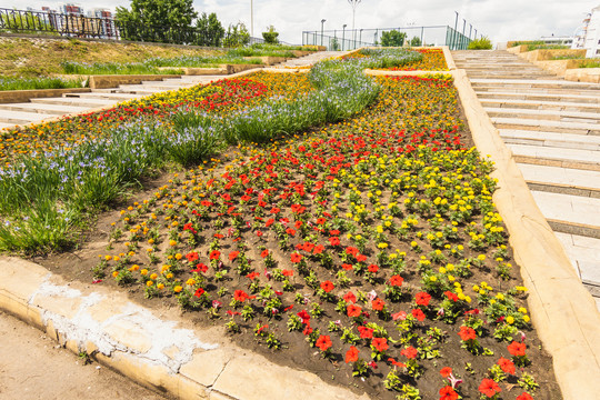 城市公园花卉绿化