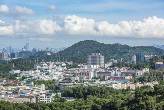 深圳航城街道鹤洲社区