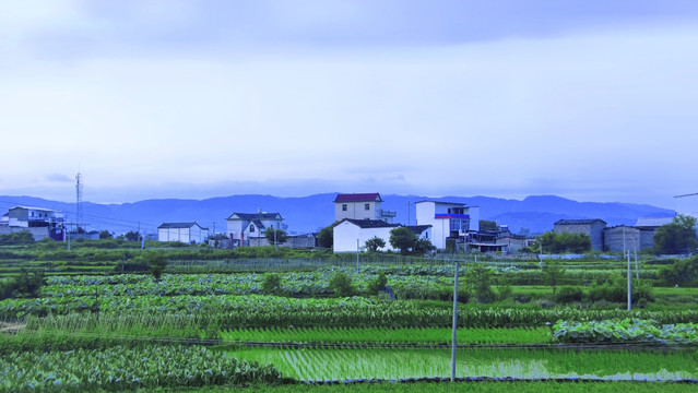 乡村的宁静清晨