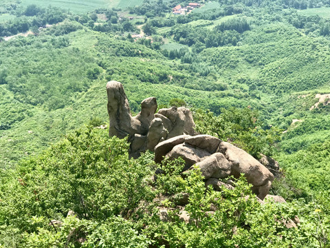 骆驼峰