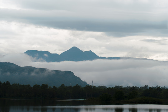 高山云雾