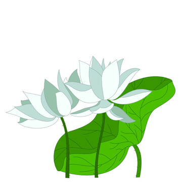 卡通荷花白蓮花插畫元素