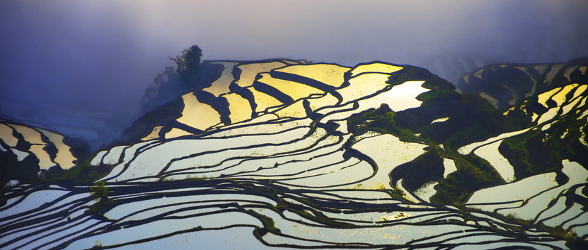 我们的田野