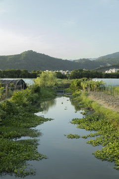 田间郊野野外小河