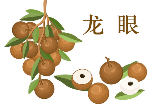 龍眼桂圓