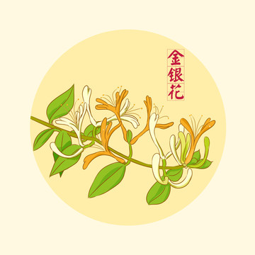 金銀花