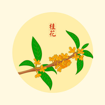 桂花