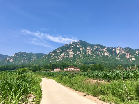 远眺丹东大龙山