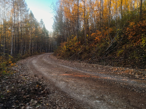 秋季森林山路