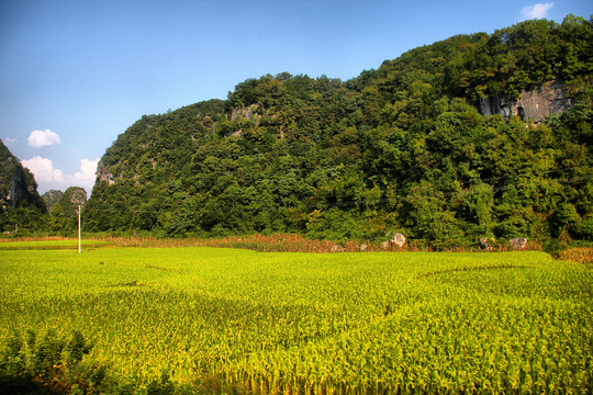 滇黔铁路沿线风景