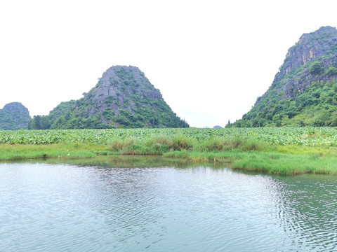 绿水青山