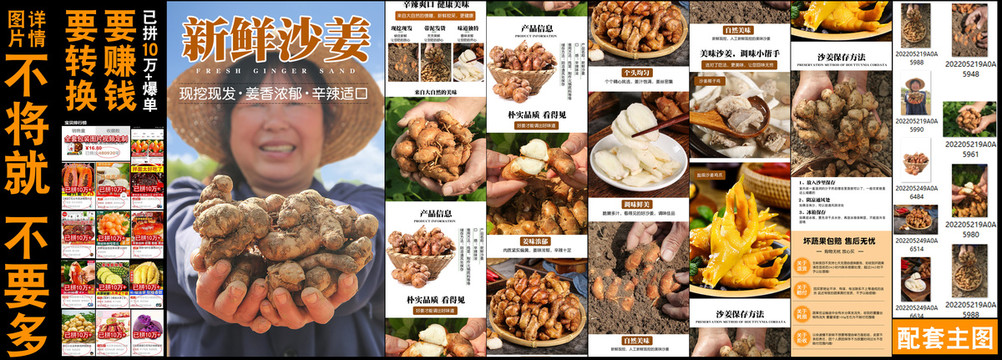 新鮮沙姜