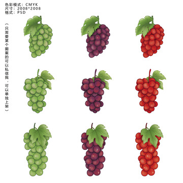 葡萄插畫