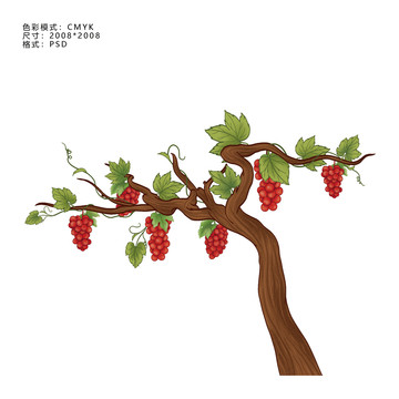 葡萄插畫