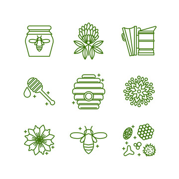 绿色线描养蜂工具图标