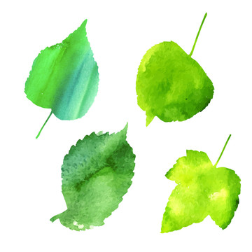 清新水彩葉片插圖
