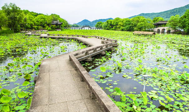 园林风景