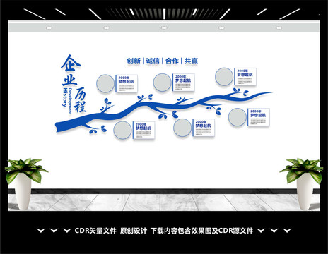 發(fā)展歷程