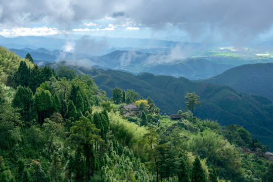 夏天山野