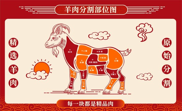 羊肉分割部位图