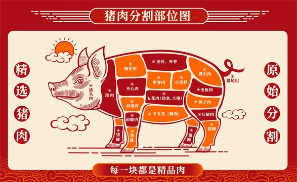 猪肉分割部位图