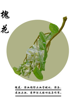 槐花