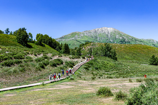 中国新疆禾木村景区景观