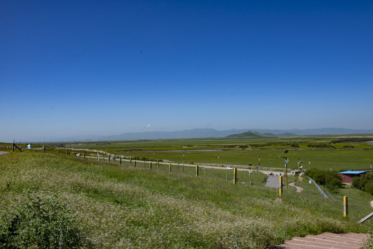 蓝天白云若尔盖大草原风景