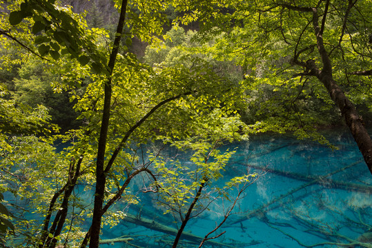 九寨沟风景