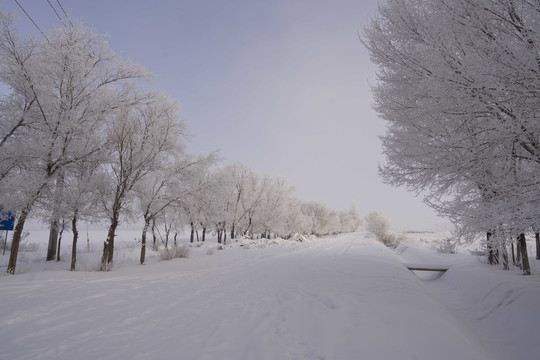 雪景